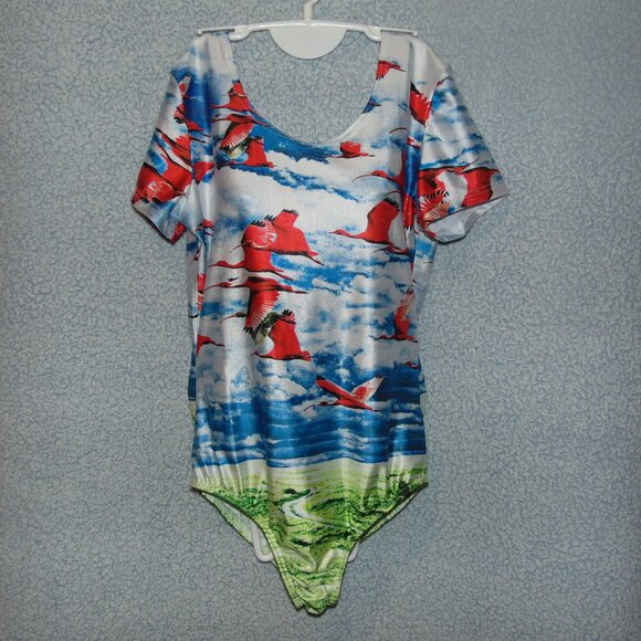One-piece Short Sleeve Swimsuit or Leotard - Picture 1 of 6